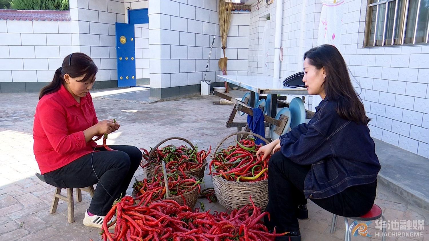 首页>乡风文明>文章正文华池融媒记者李春瑾:"姐,我听说咱们家今年被